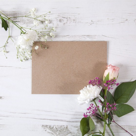 Blank Kraft Brown Envelopes