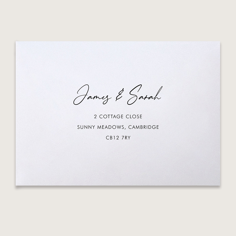 Standard White V-Flap Addressed Envelopes - Various Sizes