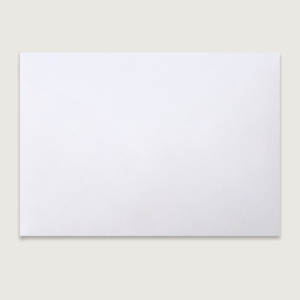 Blank Standard White V Flap Envelopes