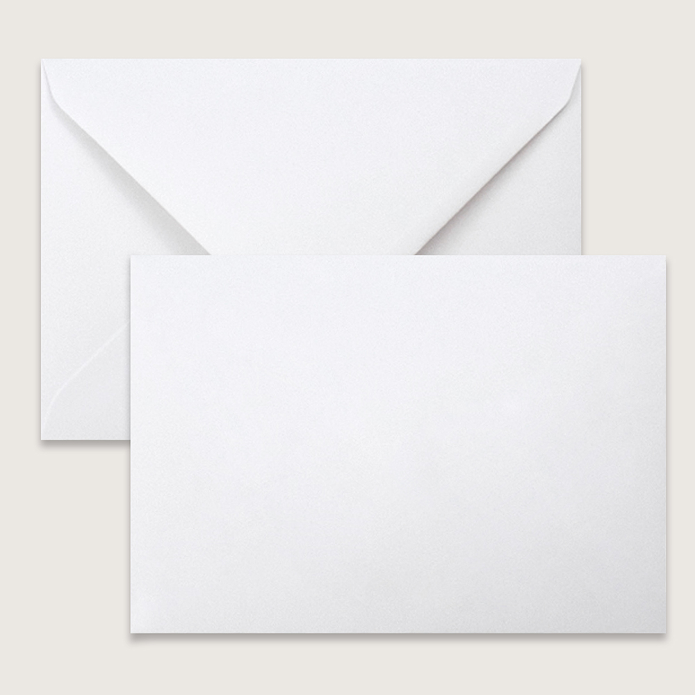 Blank Standard White V Flap Envelopes