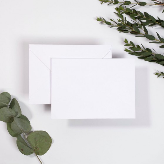 Blank Standard White V Flap Envelopes