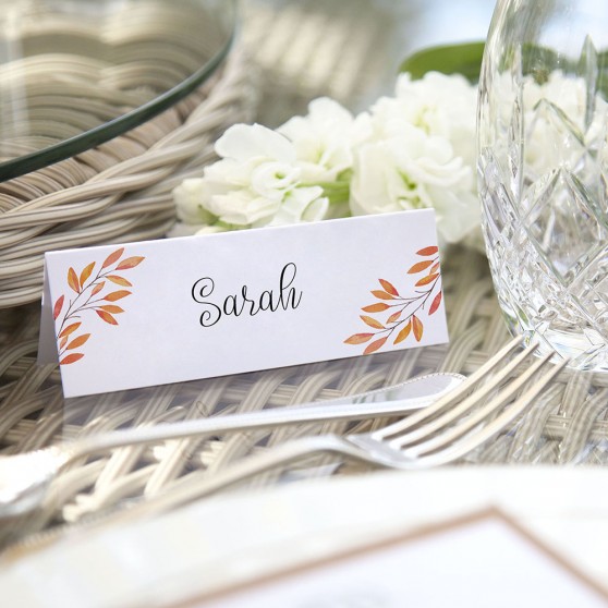'Autumn Orange' Place Cards