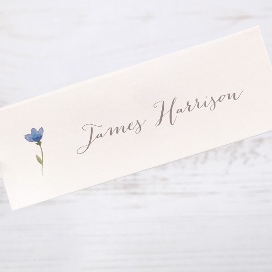 'Blue Floral Watercolour' Place Card Sample