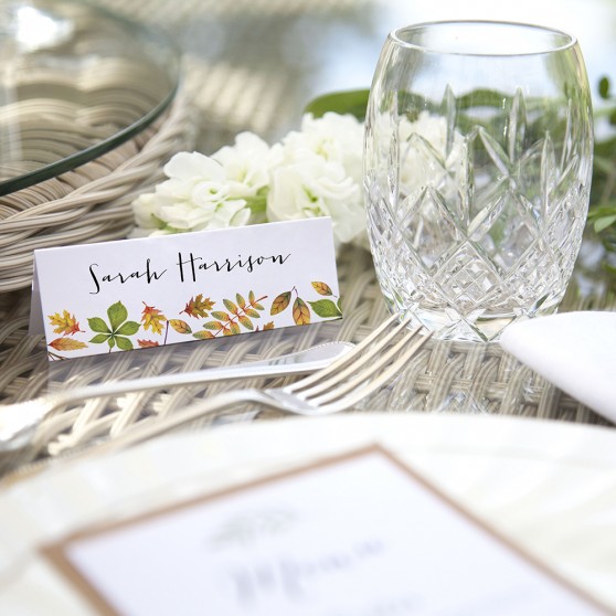 'Dorothy' Place Card Sample