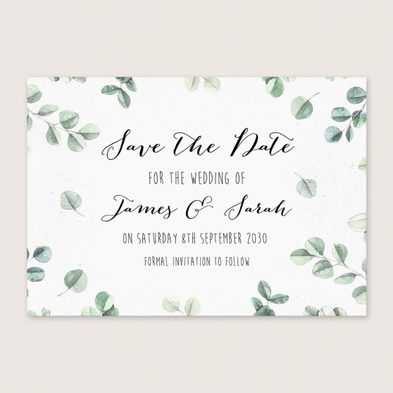 'Eucalyptus' Save the Date