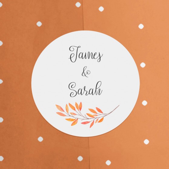 Pack of 'Autumn Orange' Stickers