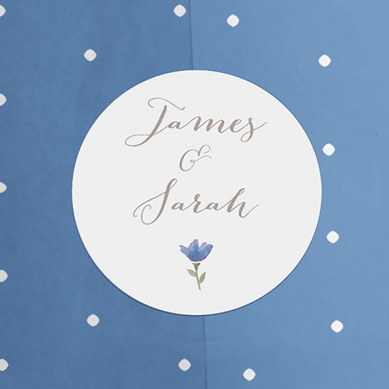 Pack of 'Blue Floral Watercolour' Stickers