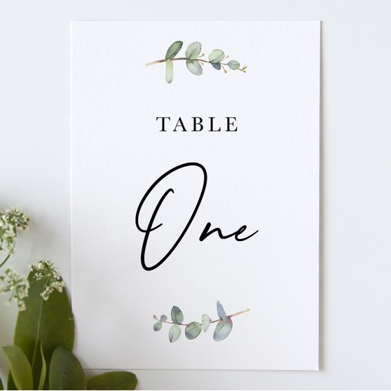 'Campagna Eucalyptus CP03' Table Name/Number