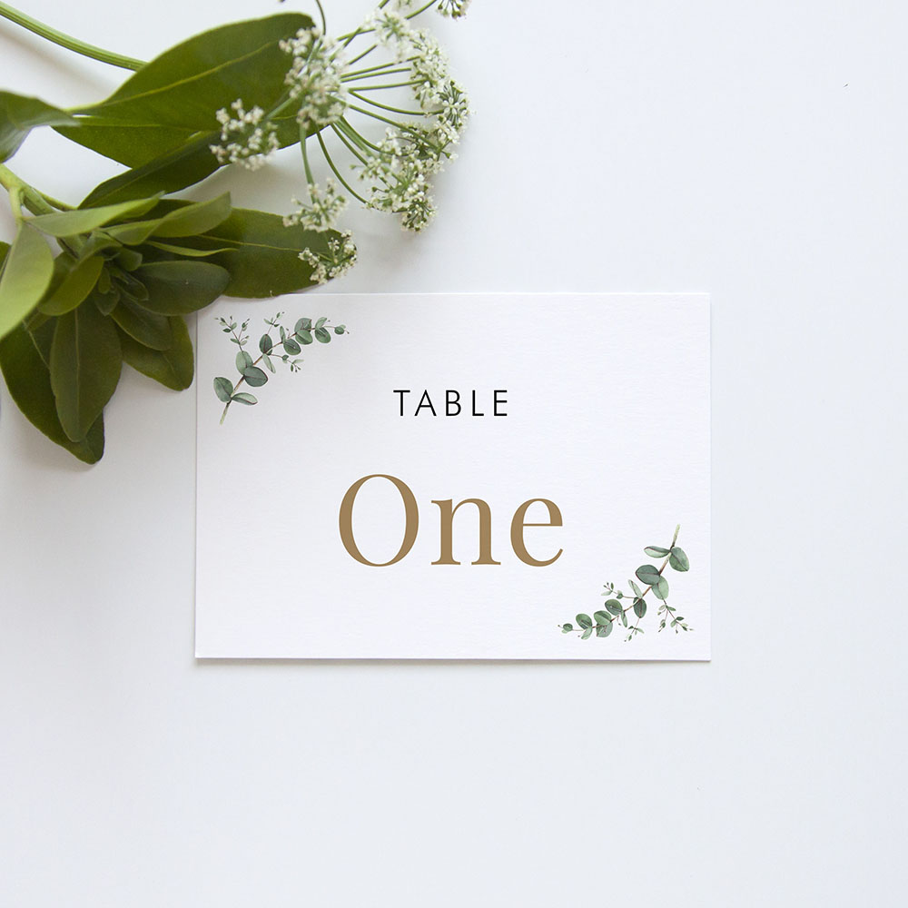'Campagna Eucalyptus CP01' Table Name/Number