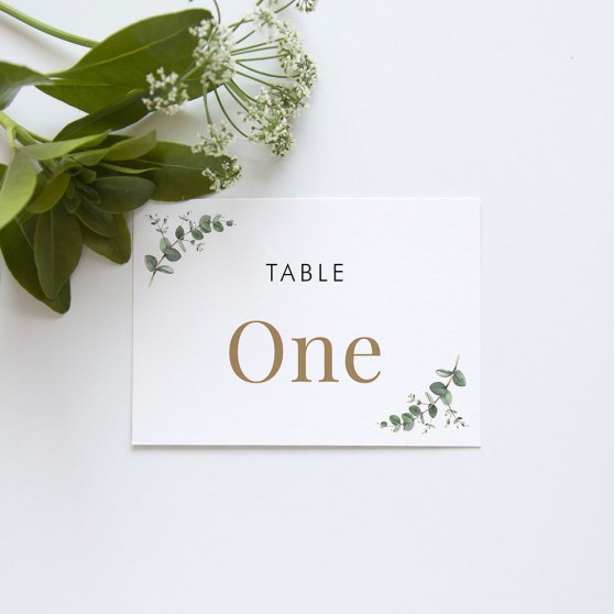 'Campagna Eucalyptus CP01' Table Name/Number