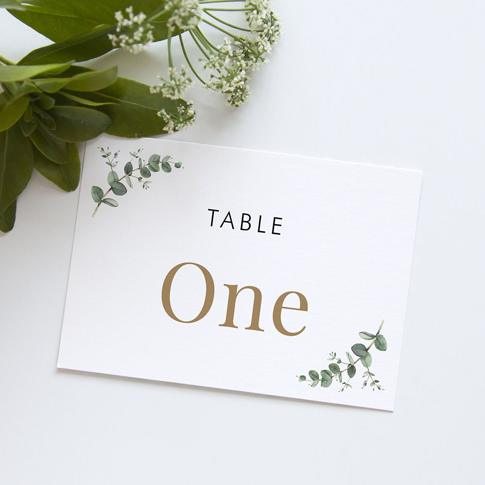 'Campagna Eucalyptus CP01' Table Name/Number