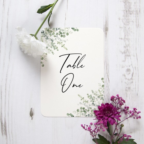 'Classic Eucalyptus CE11' Table Name/Number