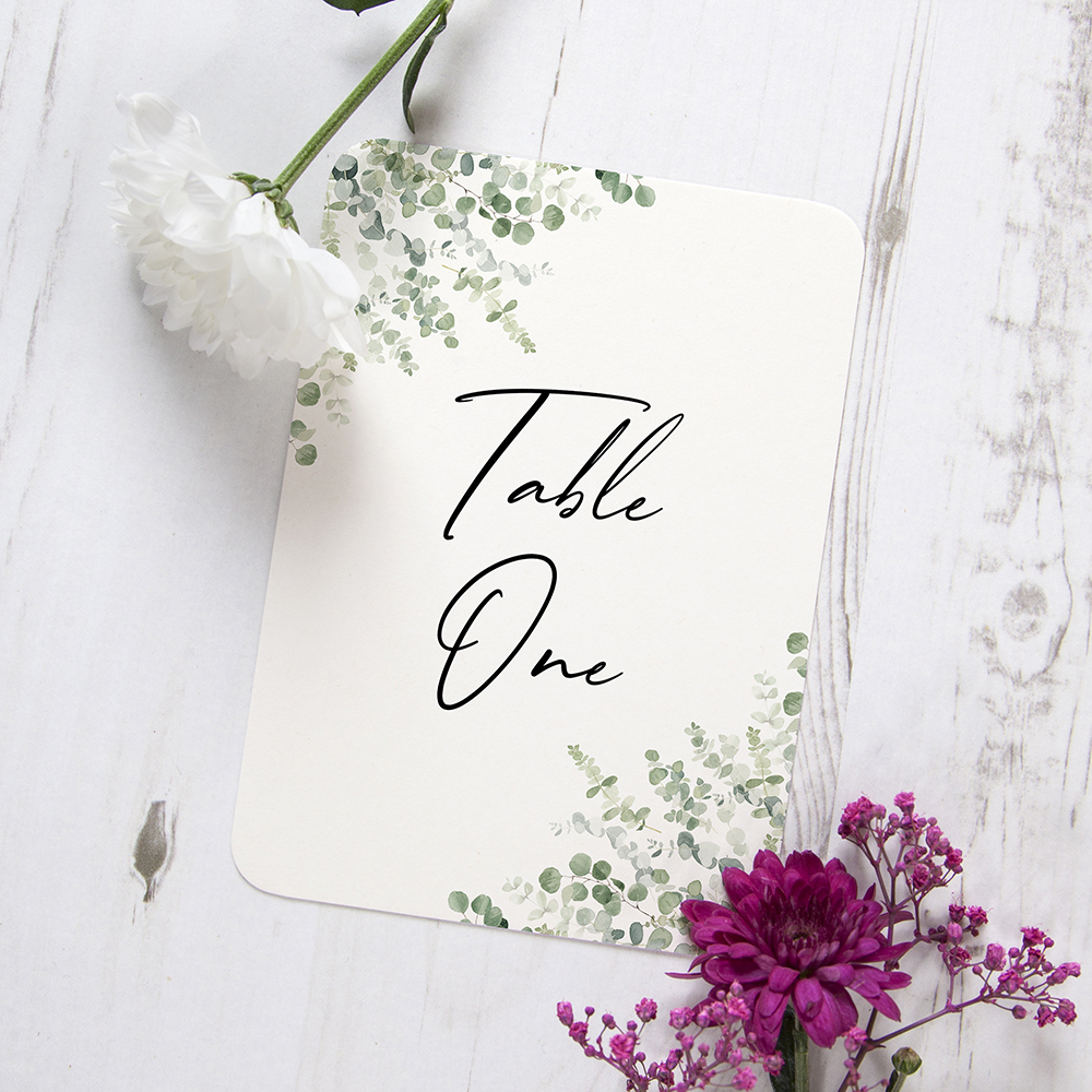 'Classic Eucalyptus CE11' Table Name/Number