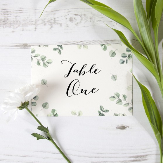 'Eucalyptus' Table Name/Number