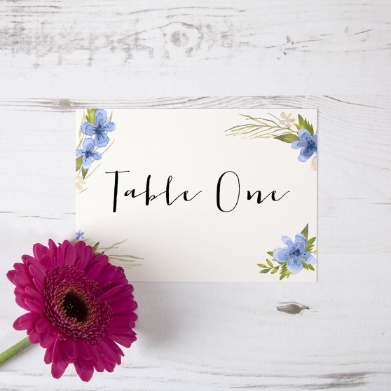 'Pretty in Blue' Table Name/Number