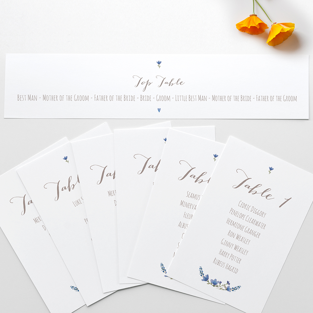 'Blue Floral Watercolour' Table Plan Cards