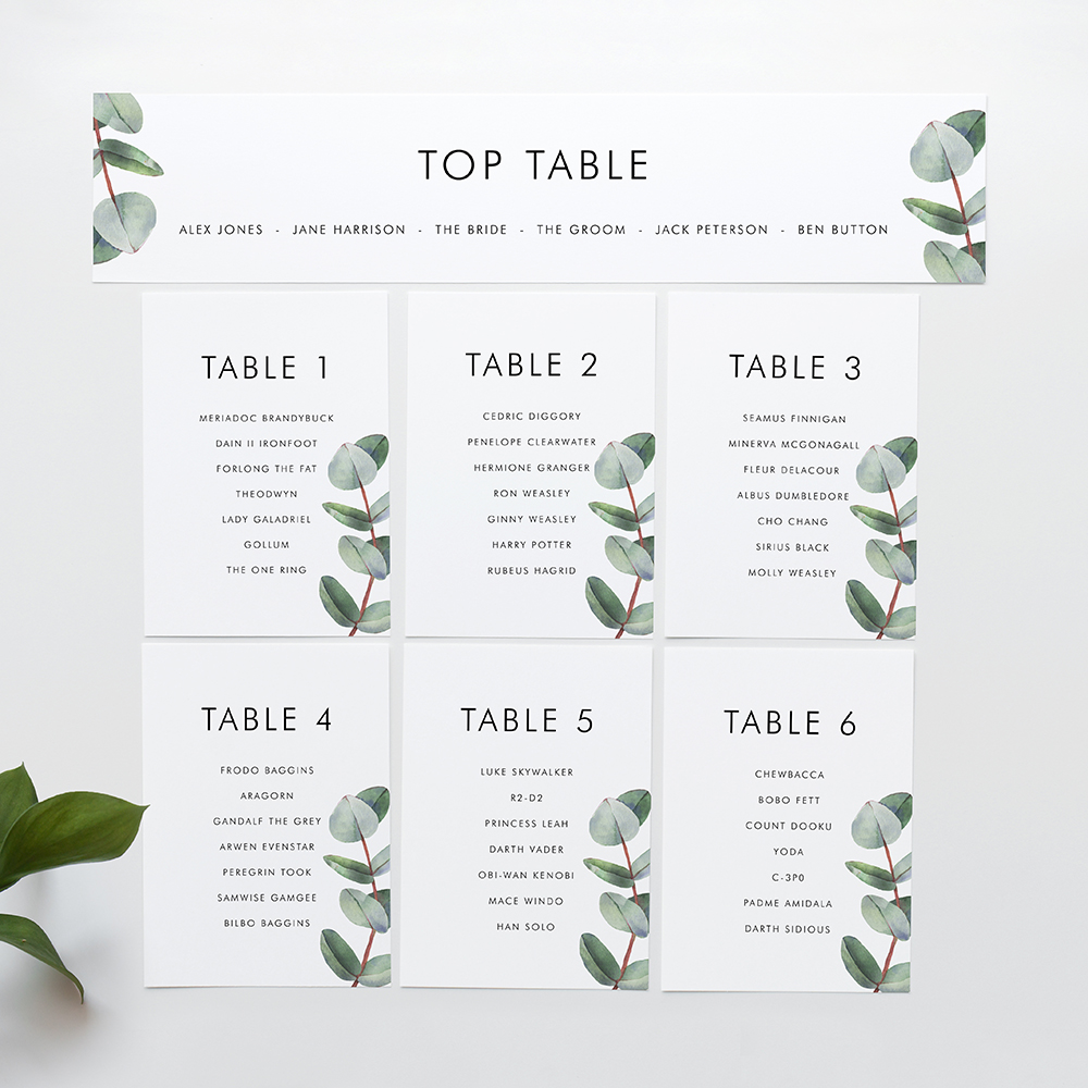 'Campagna Eucalyptus CP02' Table Plan Card Sample