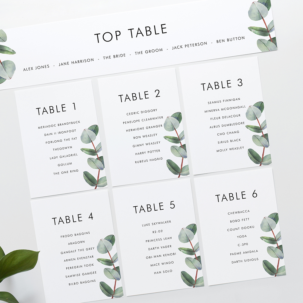 'Campagna Eucalyptus CP02' Table Plan Card Sample