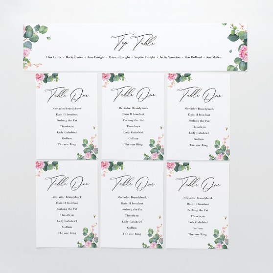 'Eucalyptus Blush' Table Plan Card Sample